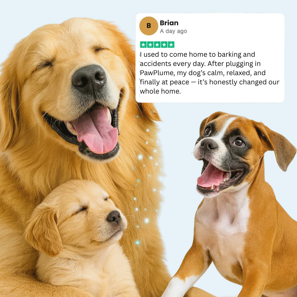 PawPlume™ Advanced Dog Calming Diffuser