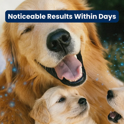 PawPlume™ Calming Diffuser for Dogs